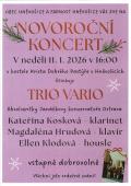 Novoroční koncert